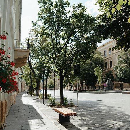 Contessa Central Studio Cluj-Napoca Exterior foto