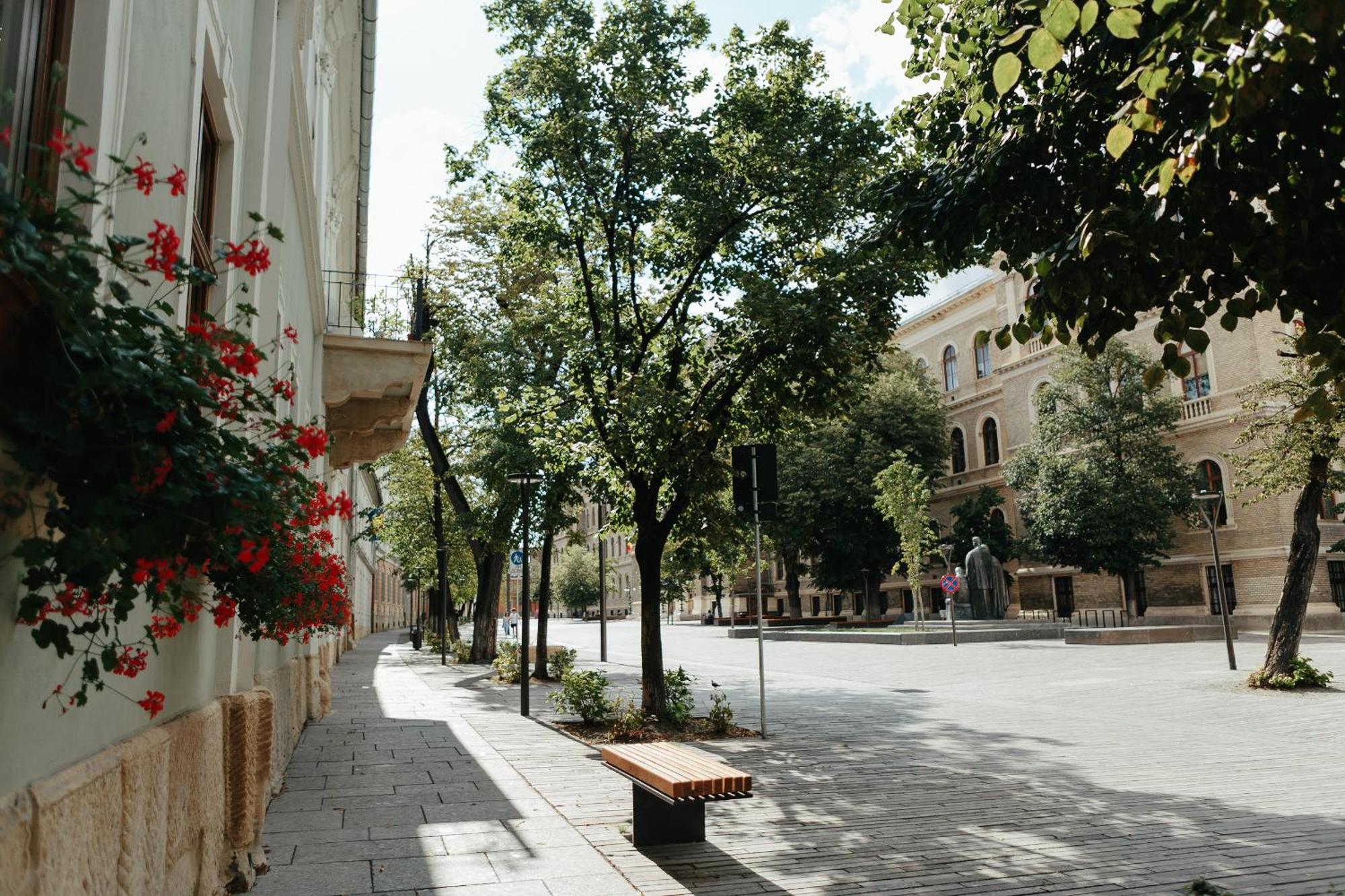 Contessa Central Studio Cluj-Napoca Exterior foto