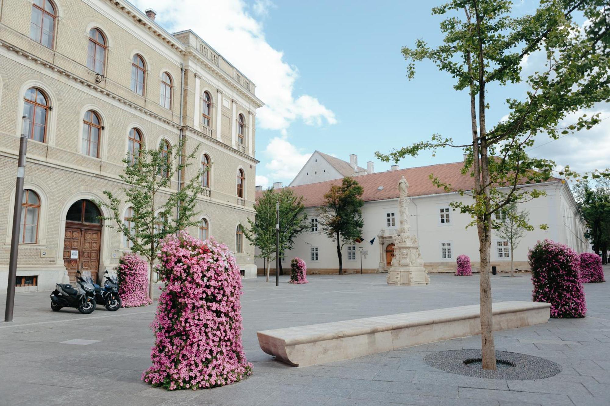 Contessa Central Studio Cluj-Napoca Exterior foto