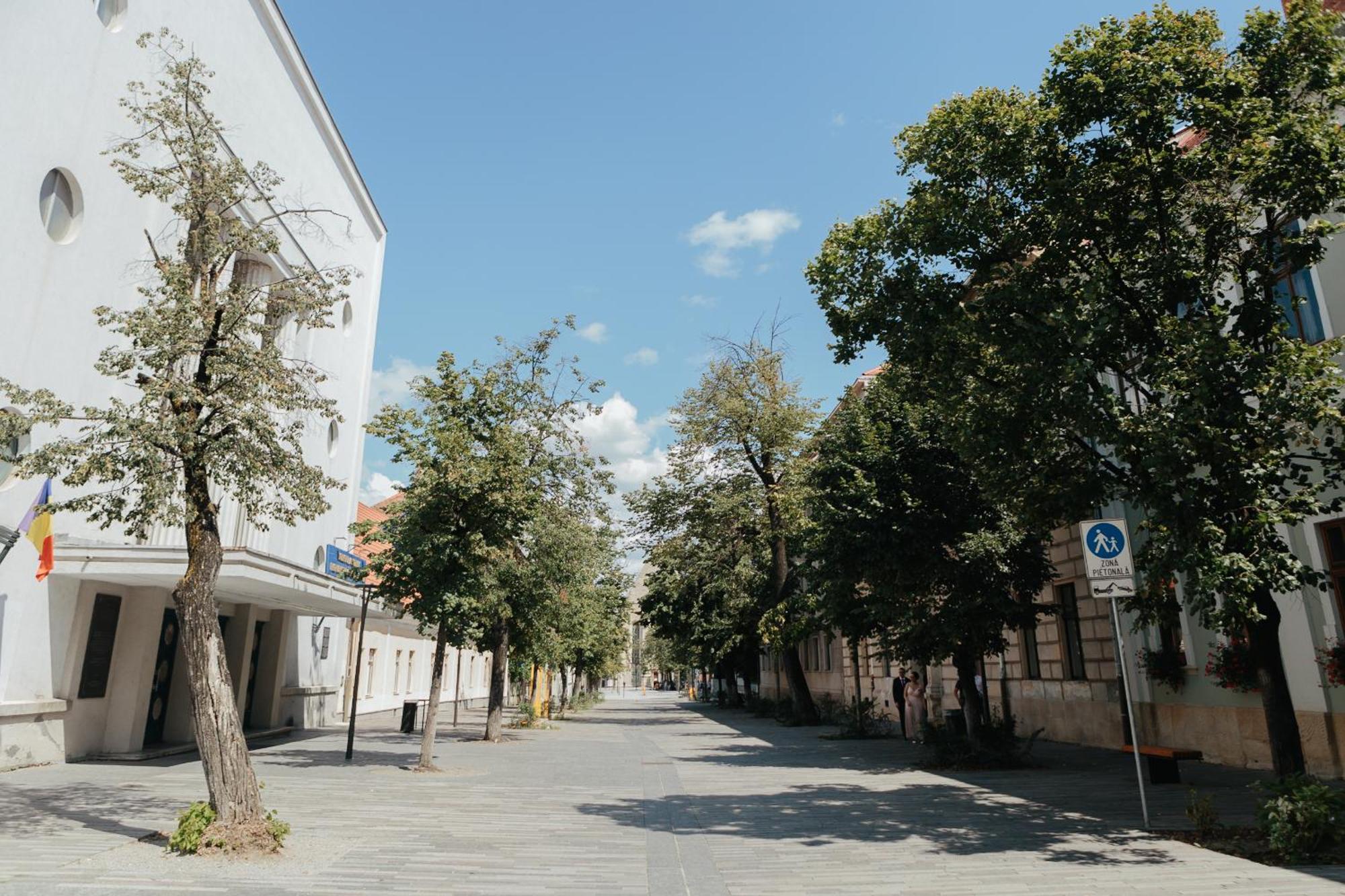 Contessa Central Studio Cluj-Napoca Exterior foto